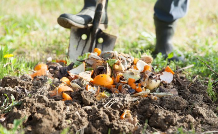 compost generado en la superficie