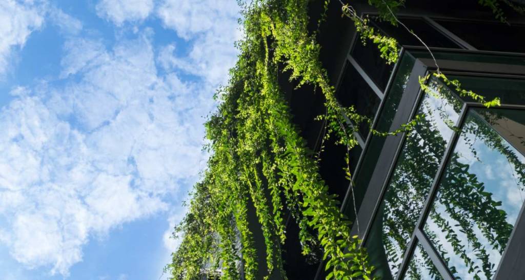 A sustainable building with plants hanging from the roof