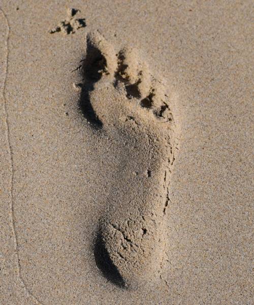 A footprint in the sand