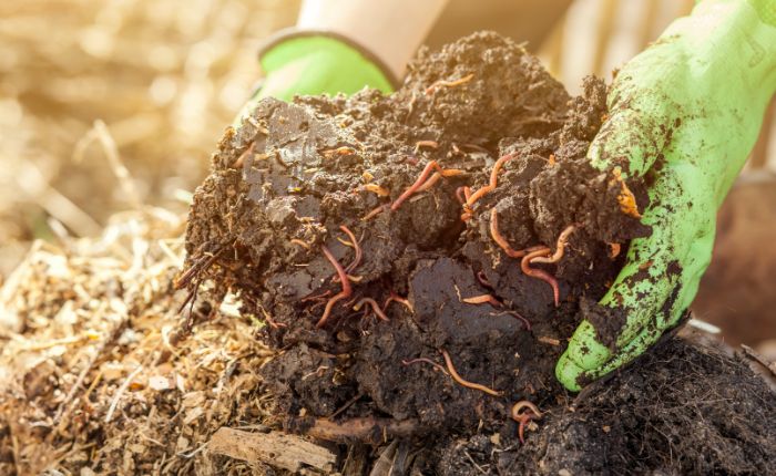 What Type of Composting is Best for You? — Dalton-Whitfield Solid