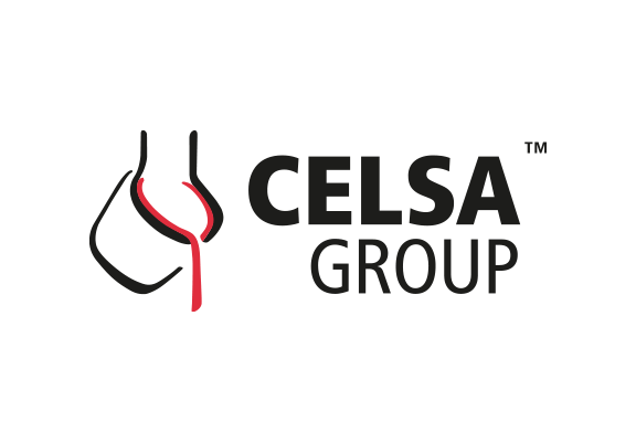 Logo de Celsa Group