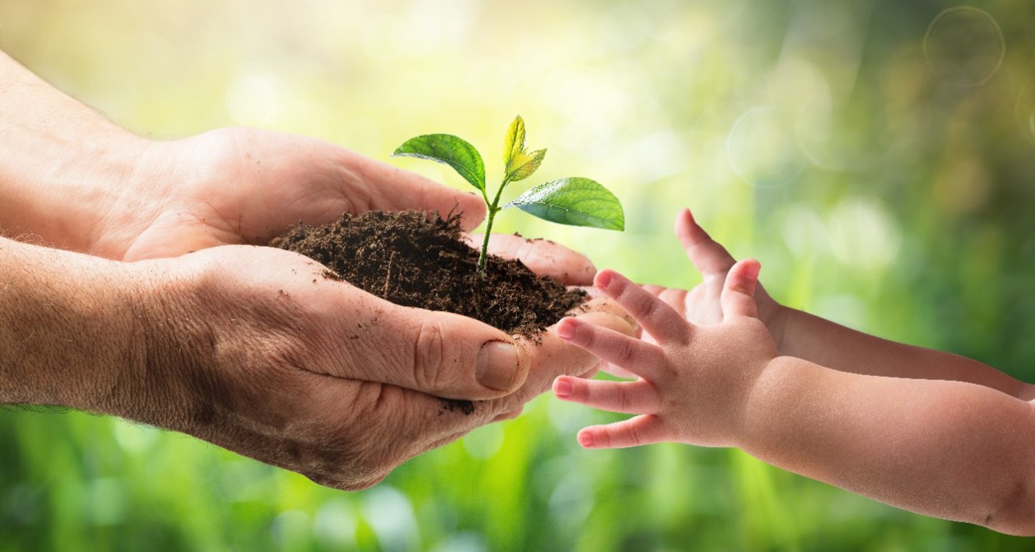 a father giving a plant to his child, a metaphor for how to care for the environment