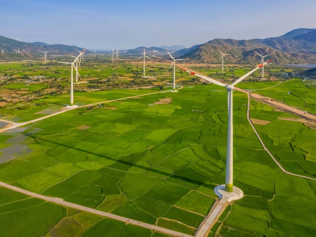Vista de varios aerogeneradores de un parque eólico
