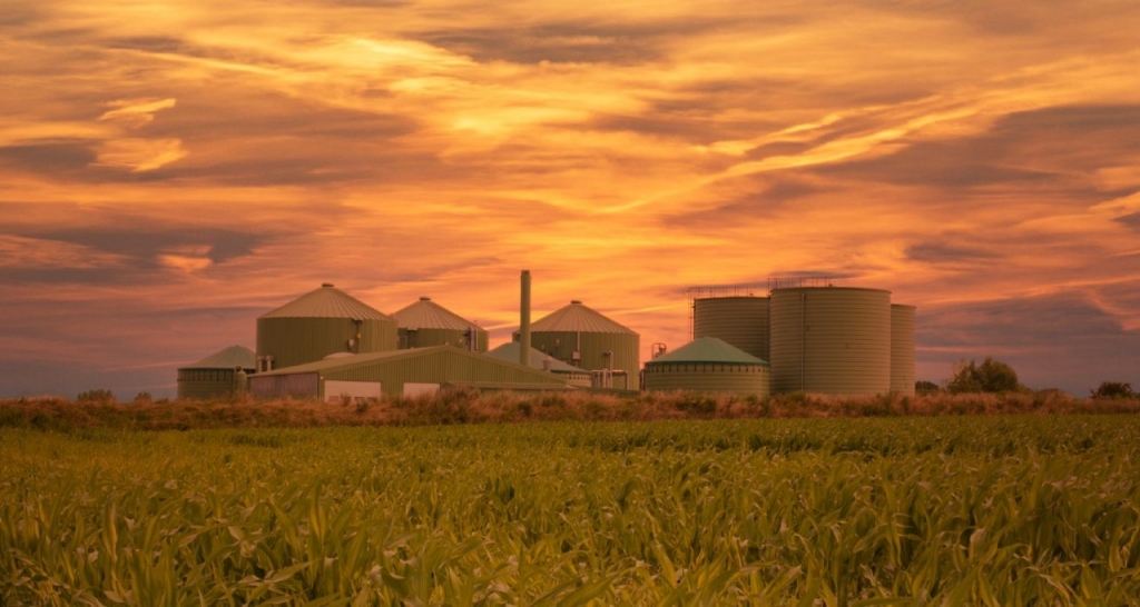Biogas