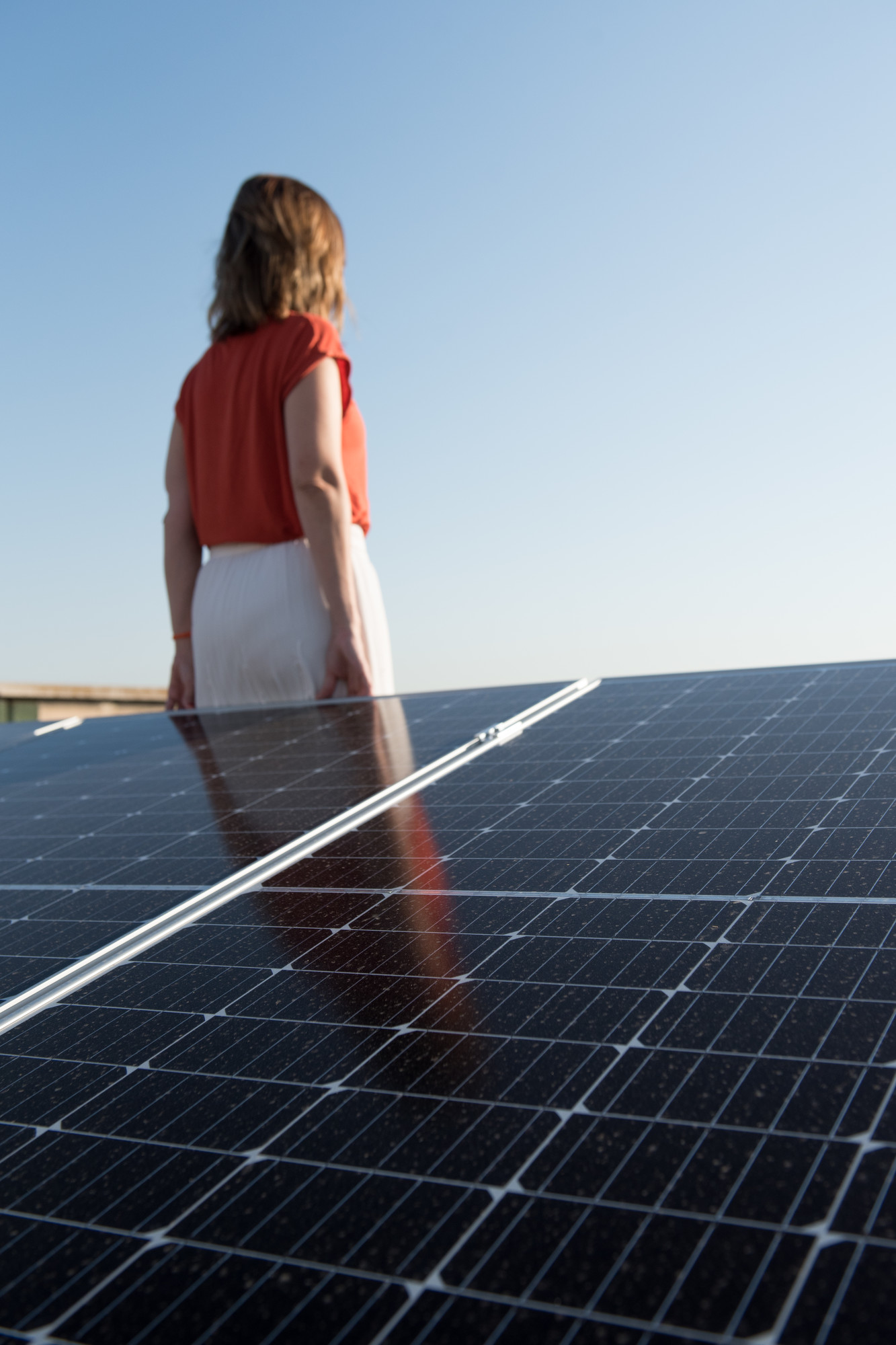 proyecto de energía agrovoltaica en España