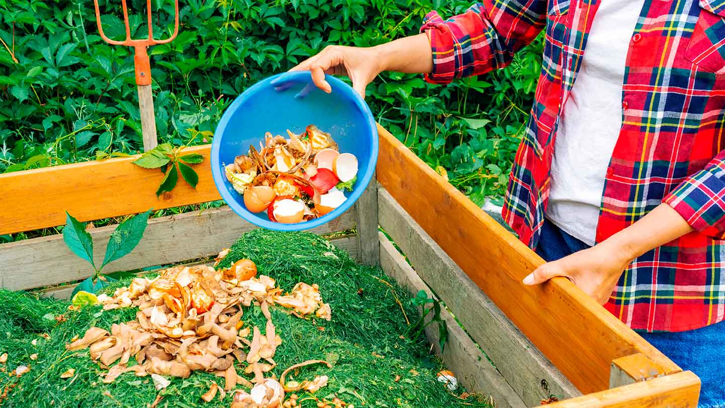 residuos organicos como composting