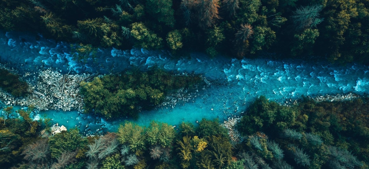 A river surrounded by vegetation