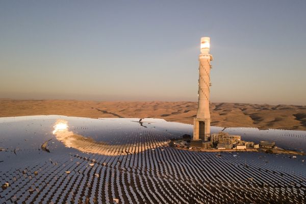 Imagen de un huerto solar