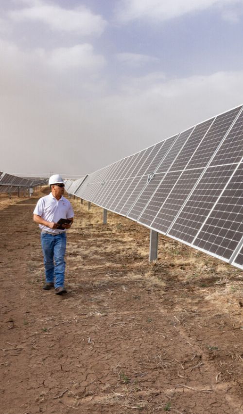 An operator observing solar panels