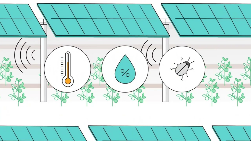 Ilustración de una instalación solar agrovoltáica