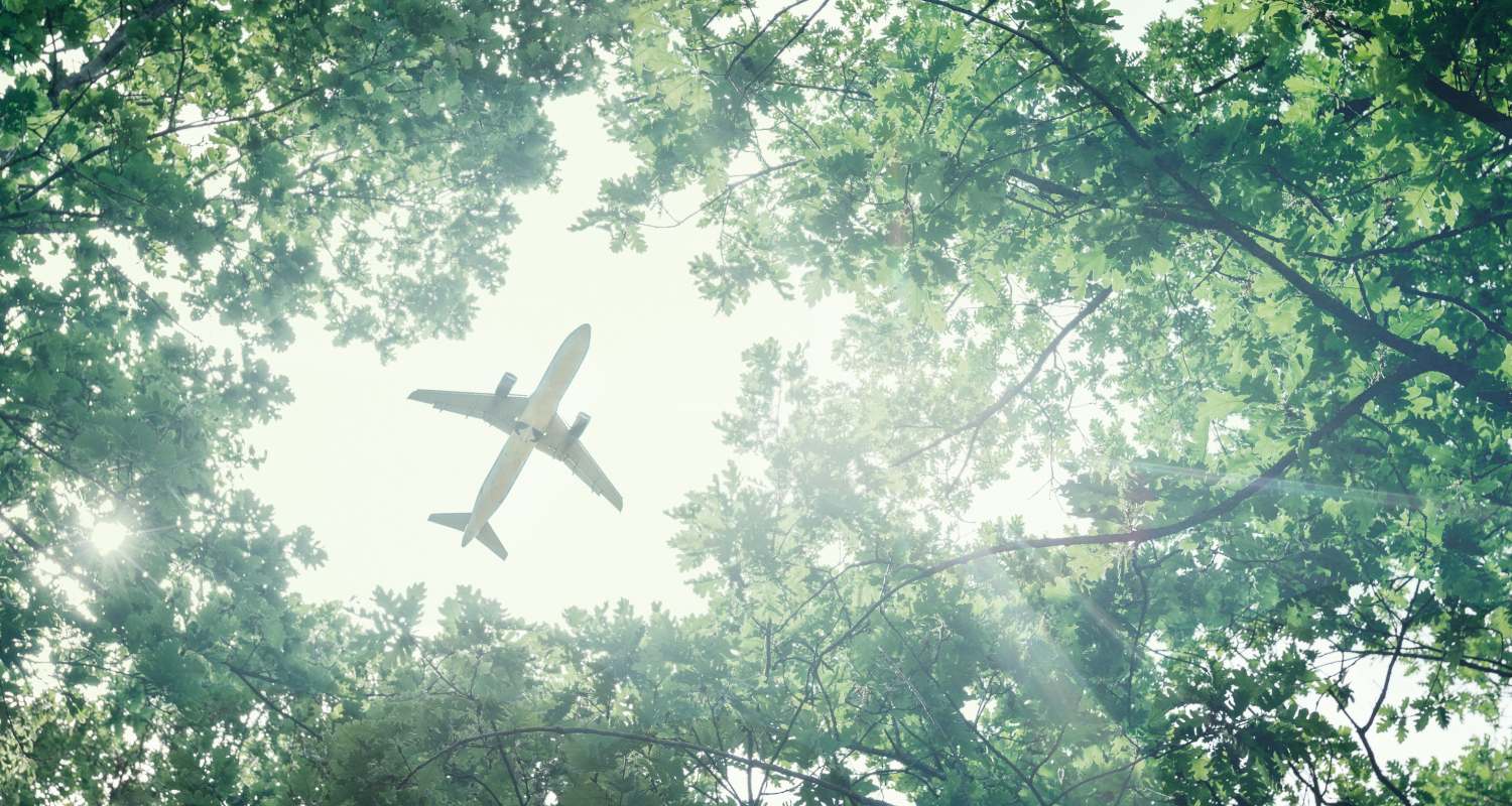 Vista de un avión entre las copas de árboles