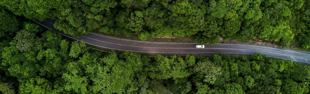 Vista áerea de una carretera que atraviesa un bosque