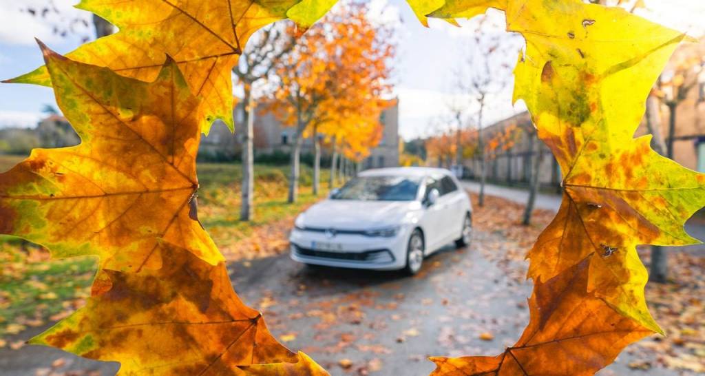 A car surrounded by fall leaves