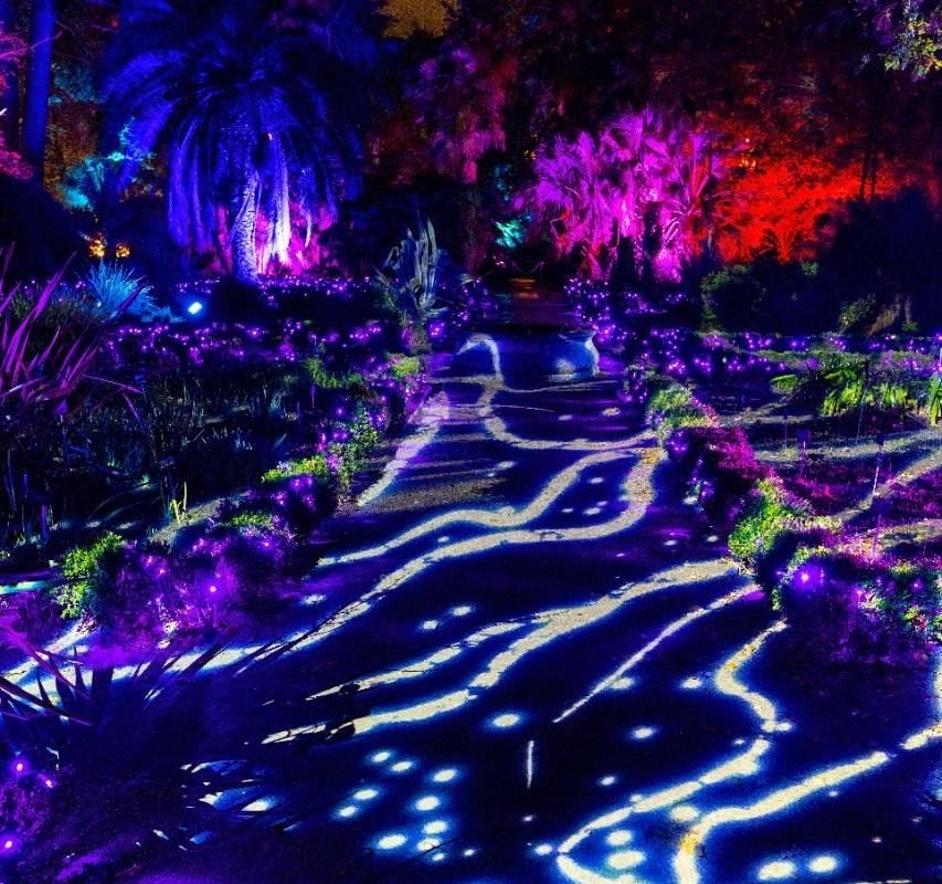 Camino en naturaleza encendida, Sevilla