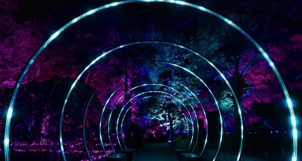 Tunel iluminado en naturaleza encendida