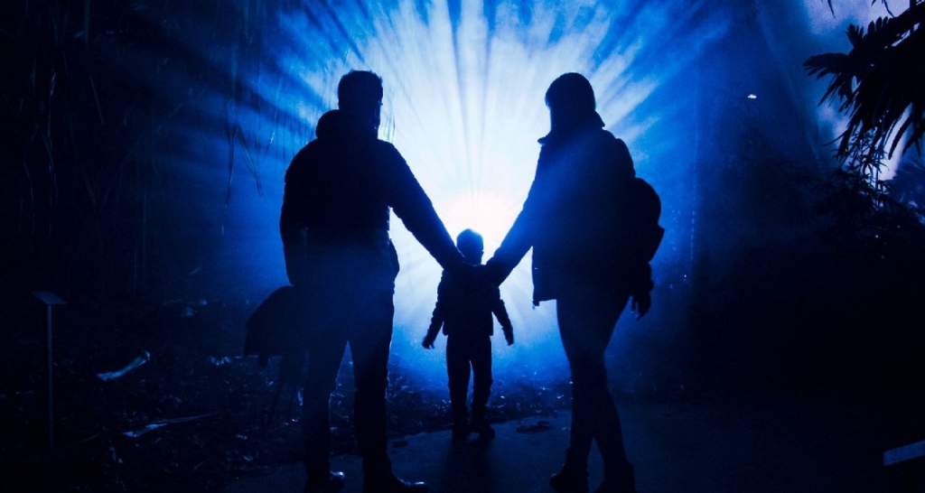 Familia en la oscuridad visitando naturaleza encendida