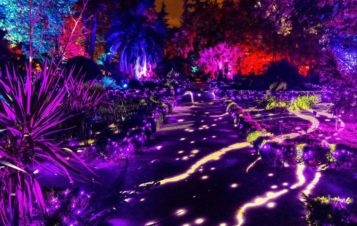 Naturaleza encendida