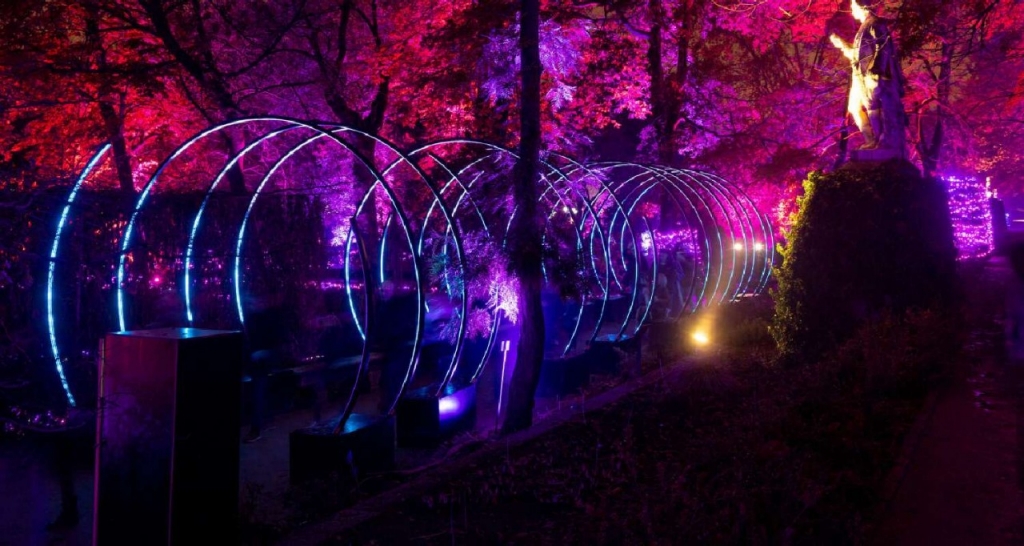 camino iluminado en naturaleza encendida