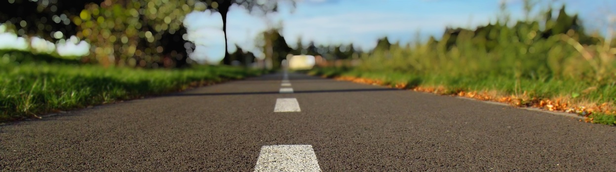 Detalle de una carretera rodeada por un bosque