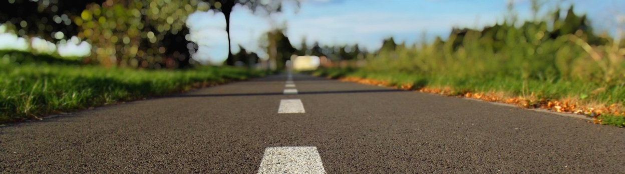 Detail of a road surrounded by a forest