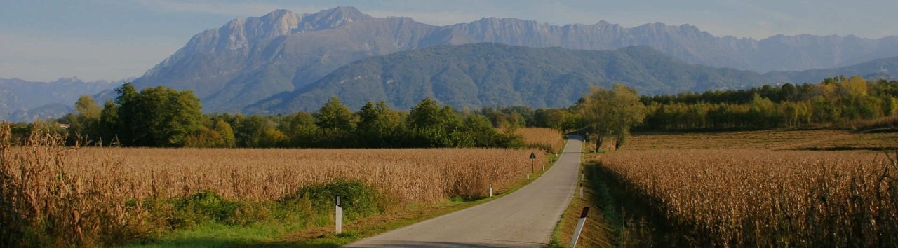 Vista de una carretera vacía