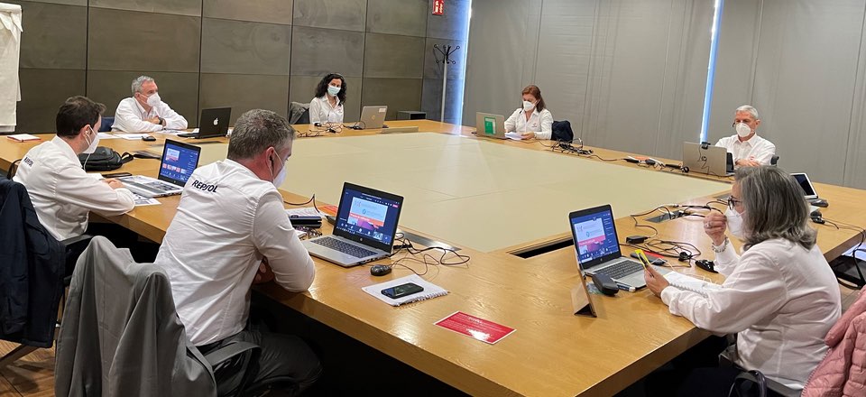 Participantes en la jornada virtual sobre seguridad en el transporte de carga paletizada