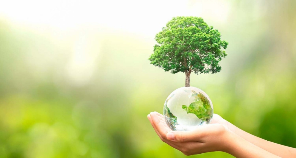 Una mano sostiene un globo terráqueo verde del que brota un árbol