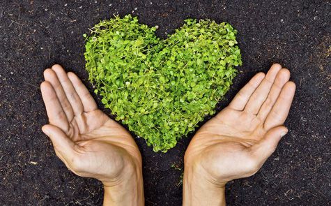 Two hands around a green heart made from leaves