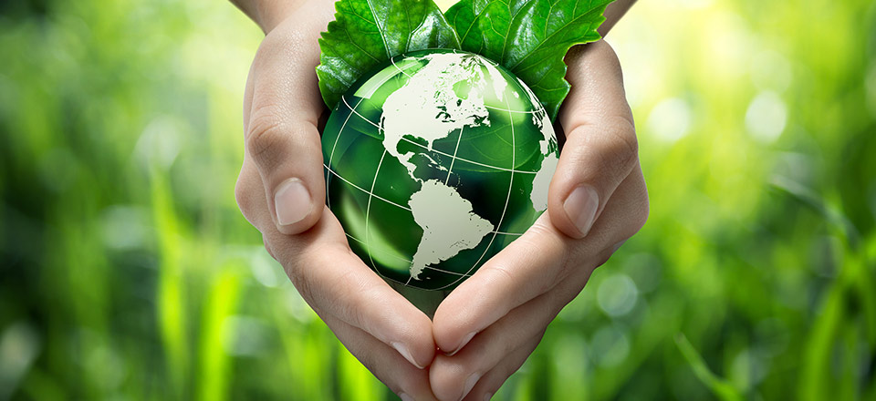 Unas manos sostienen un globo terráqueo verde simulando el cuidado del medio ambiente 
