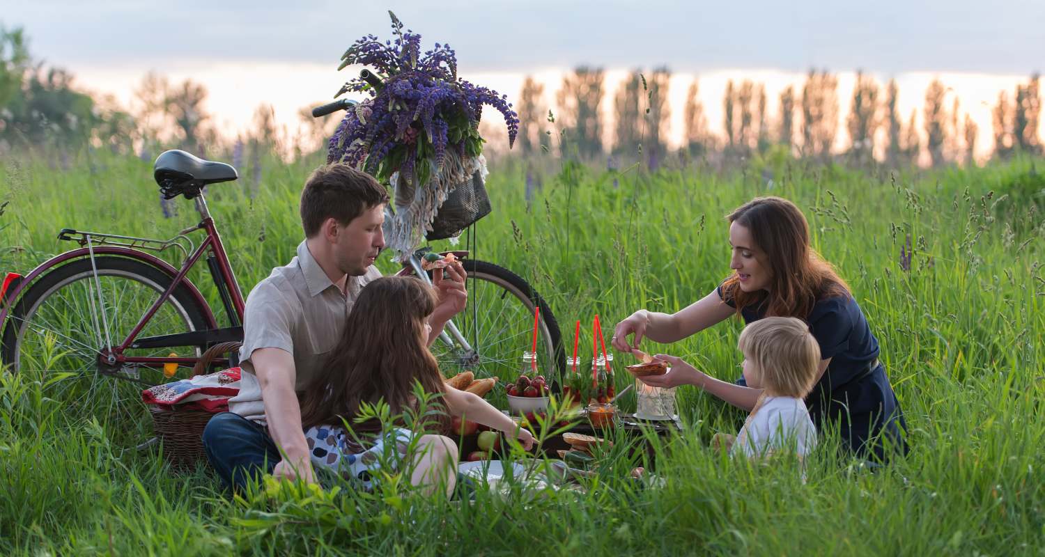 A family having a picnic at a park