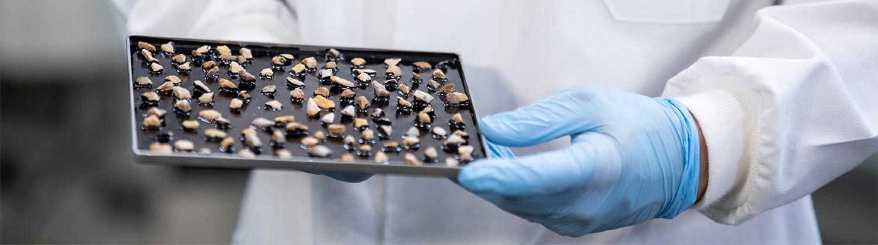 Un investigador sujetando una placa
