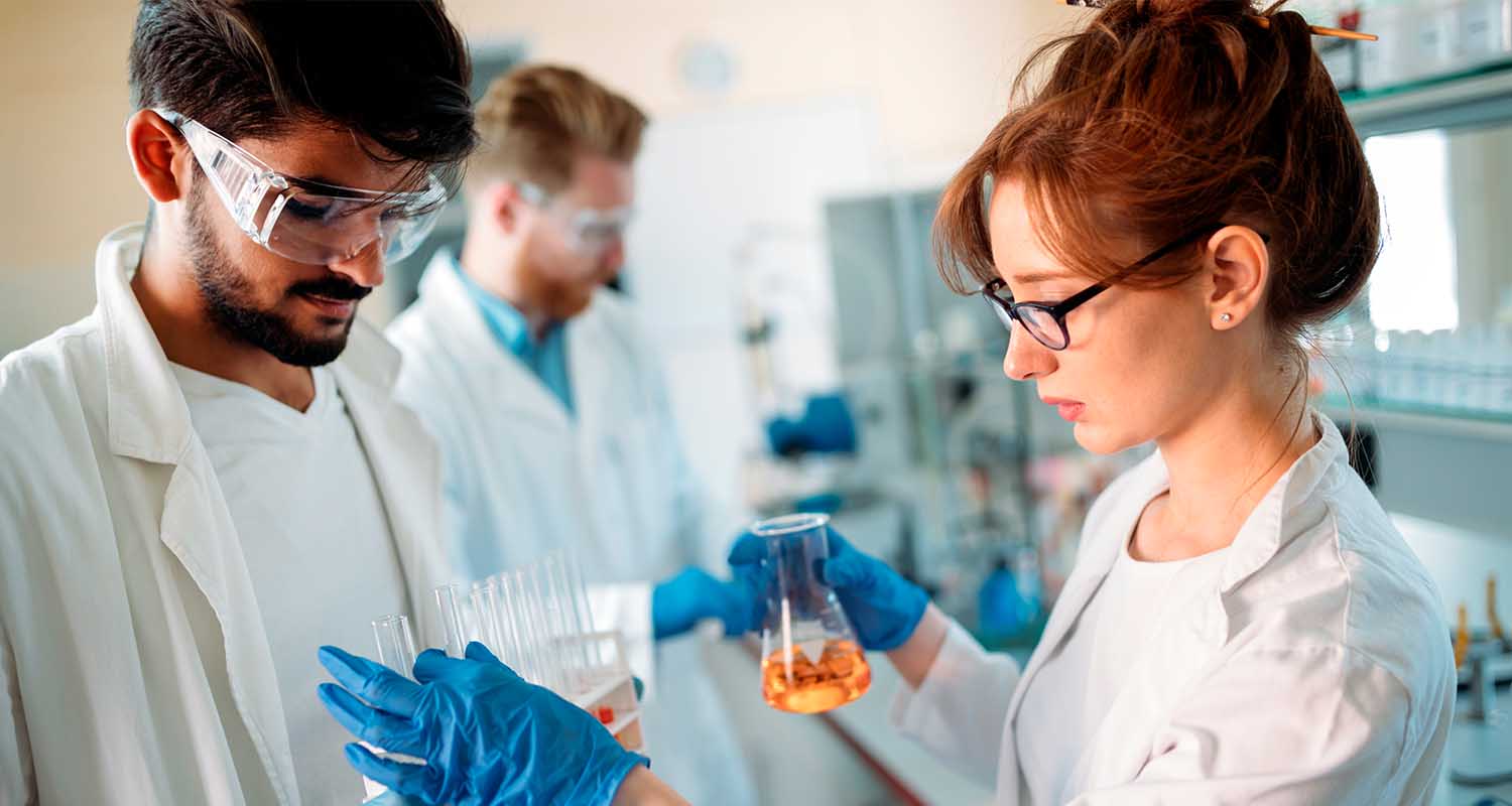 Investigadores observando un material
