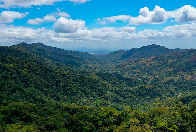 Repsol en el mundo Trinidad y Tobago. Paisaje de montañas con mucha vegetación y cielo despejado