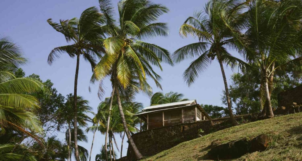 General image of Guyana.