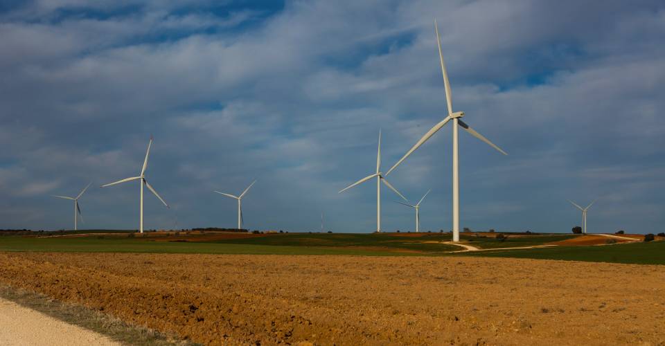 Repsol's Delta II wind farm