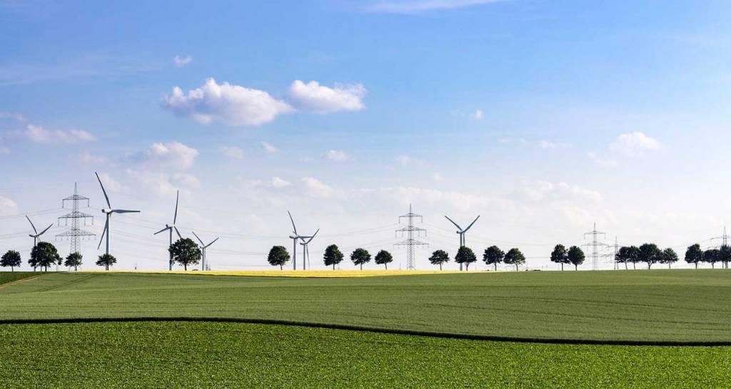 View of a field with wind turbines