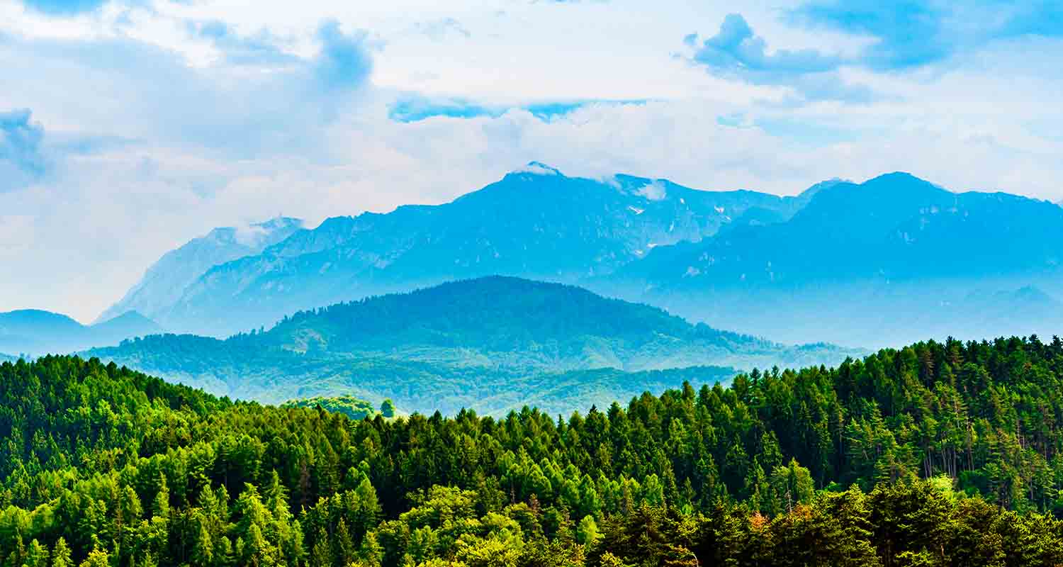 Forest and mountain landscape