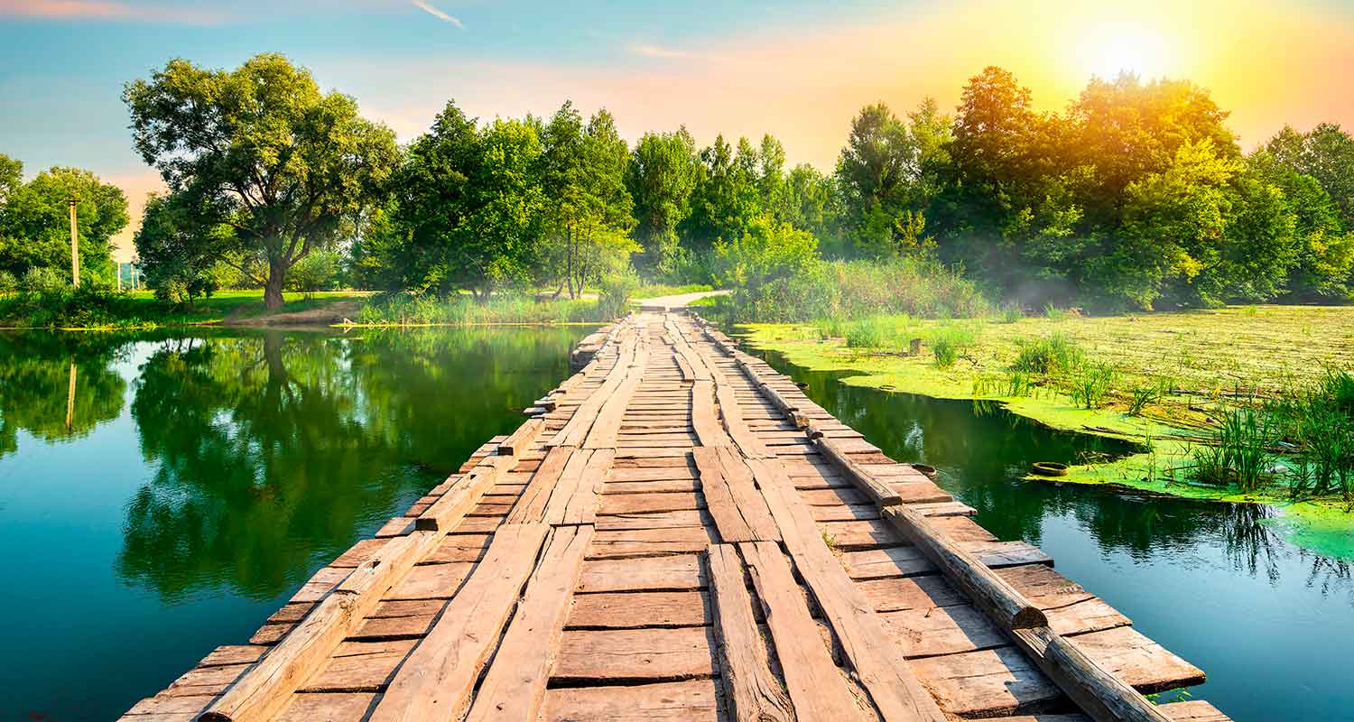 Wooden path crossing a lake
