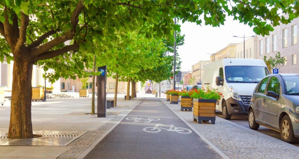 View of a cycle path with trees in a city