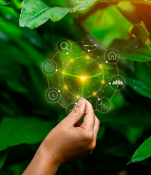 A hand holding a plant