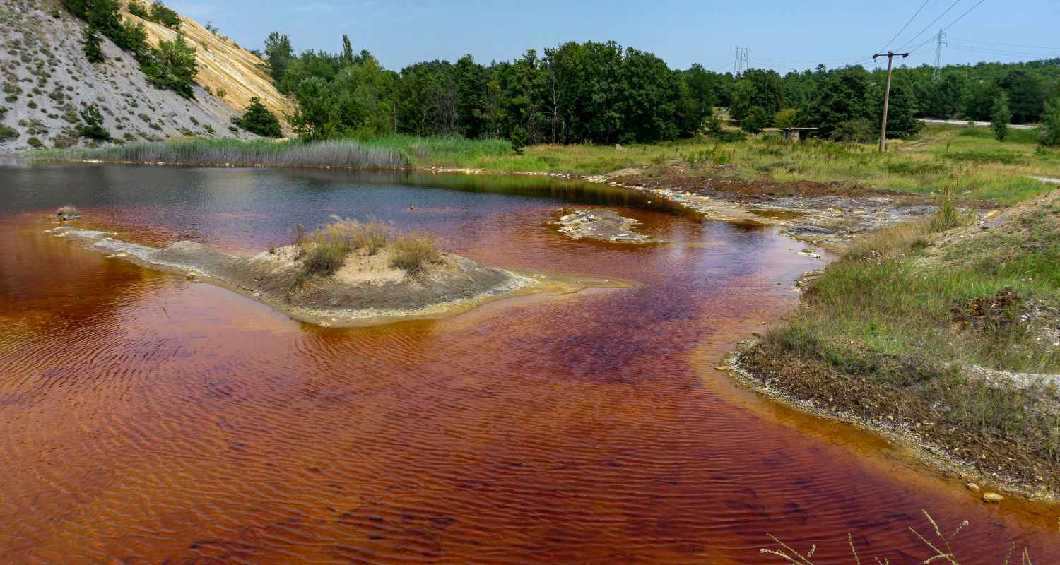 River ecological disaster