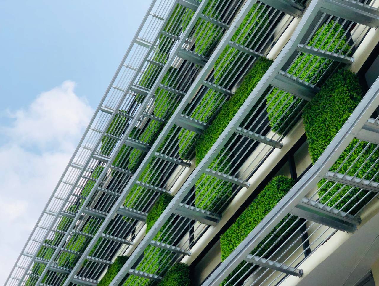 green facade, part of sustainable architecture