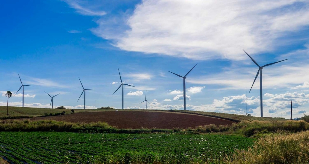 Molinos de viento en un campo