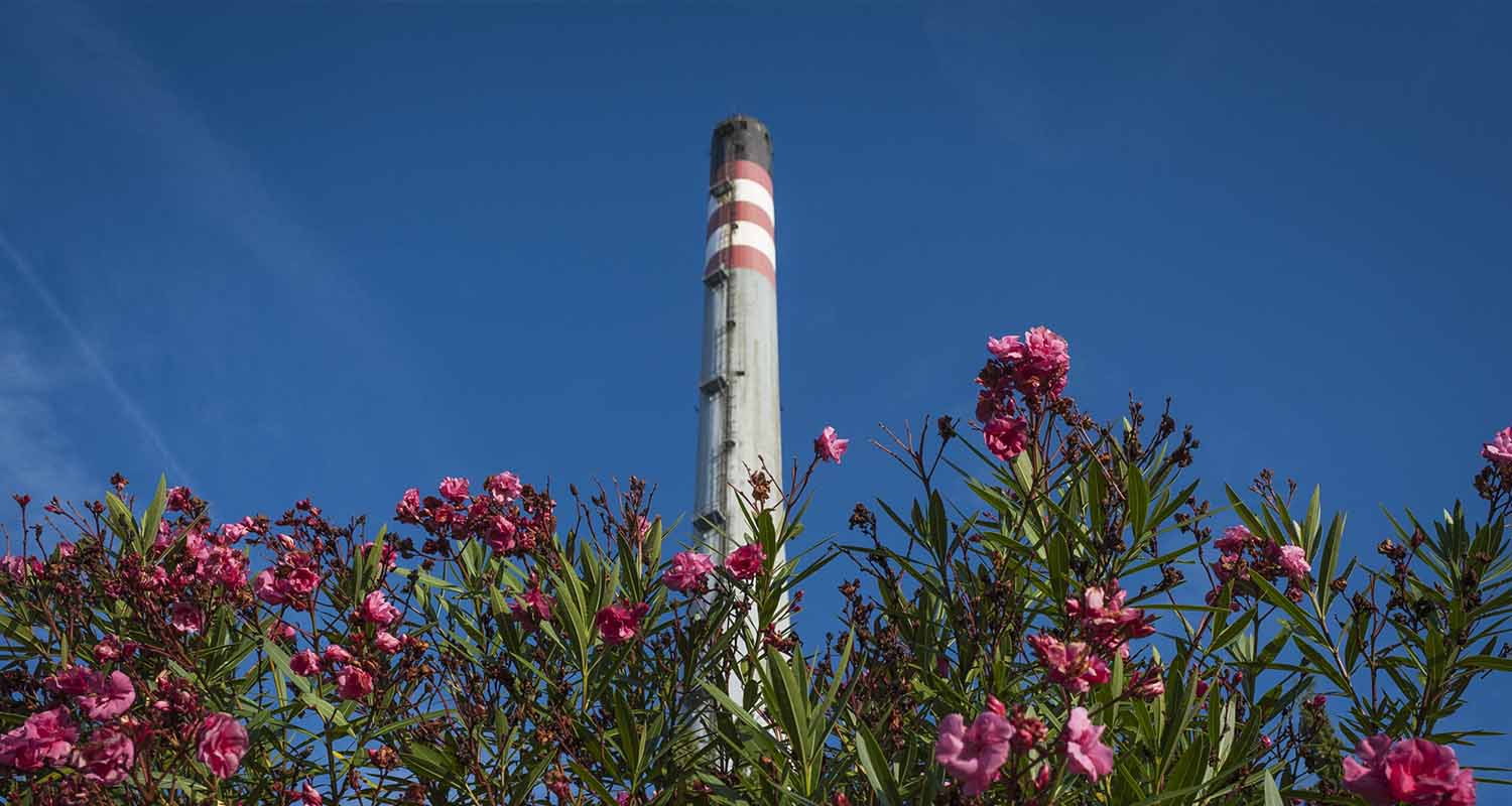 Torre de una refinería y flores