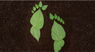 Green leafs in the shape of footprints on soil