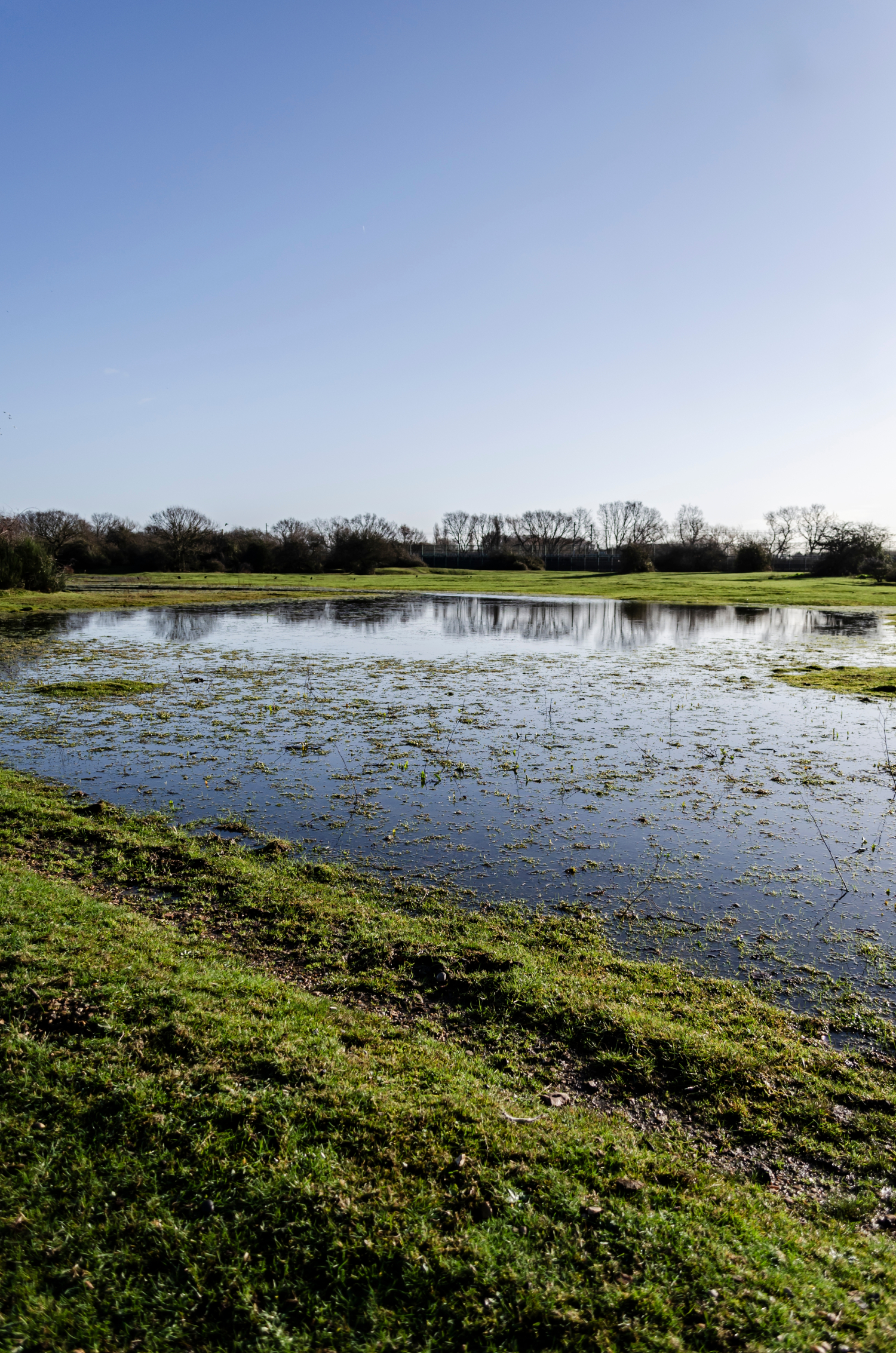 wetlands and bodies of water