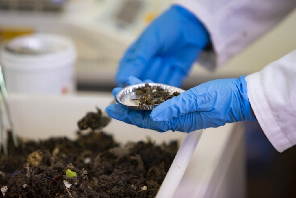 A researcher handling organic material