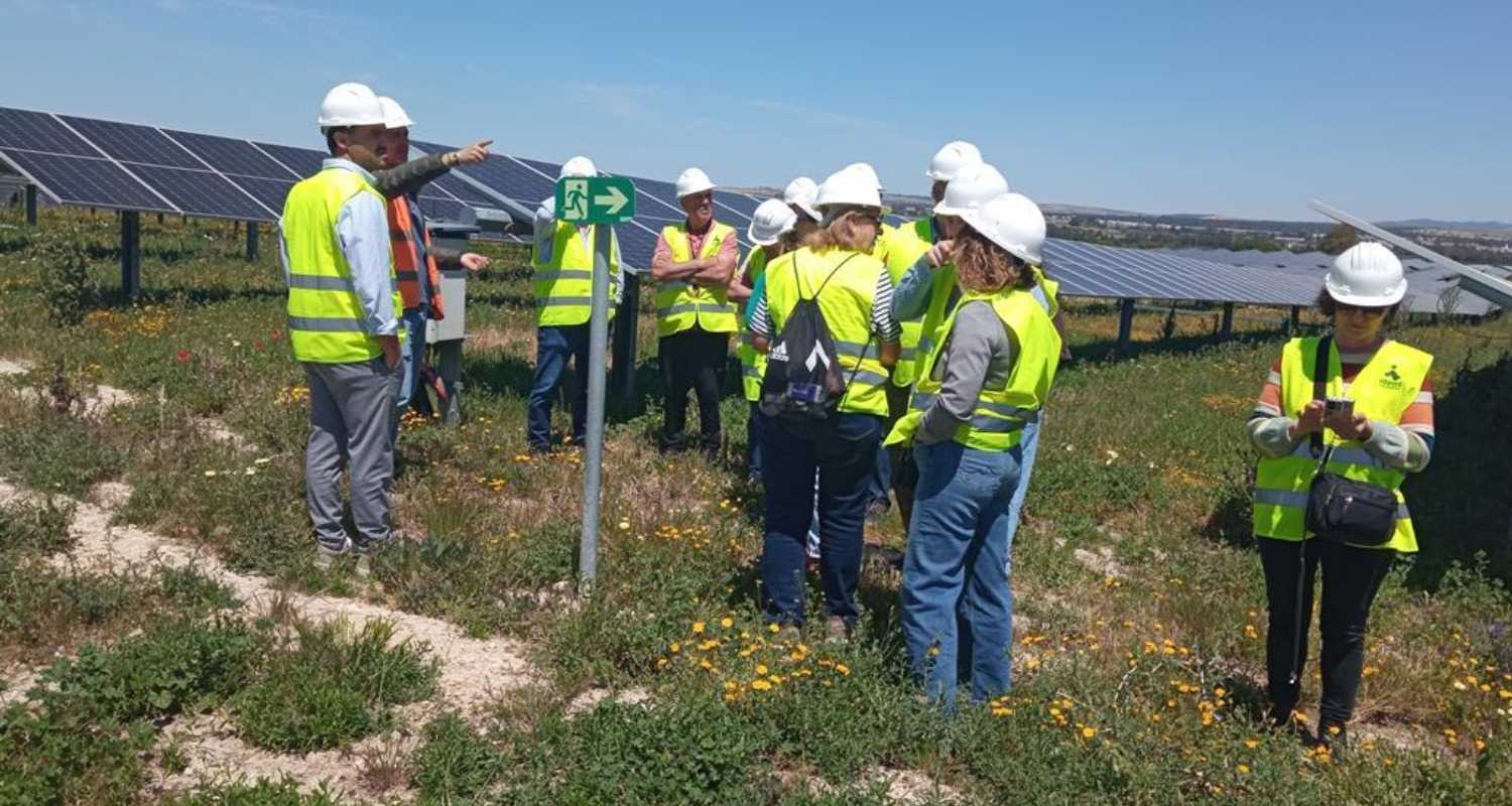 Grupo de personas en un campo de placas solares en Sigma