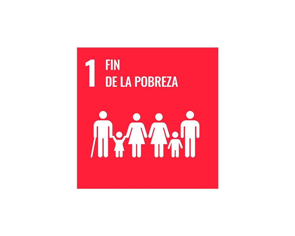 SDG 1 Logo