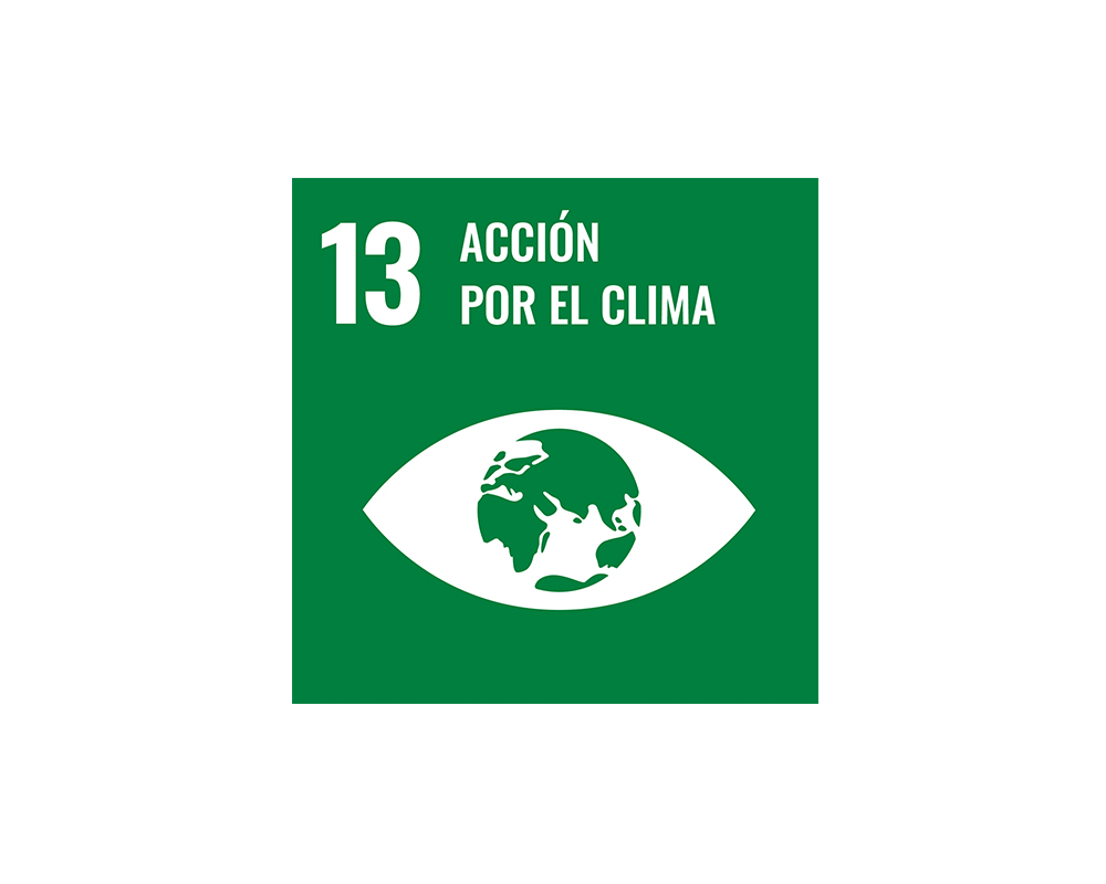 Logo ODS 13 Acción por el clima